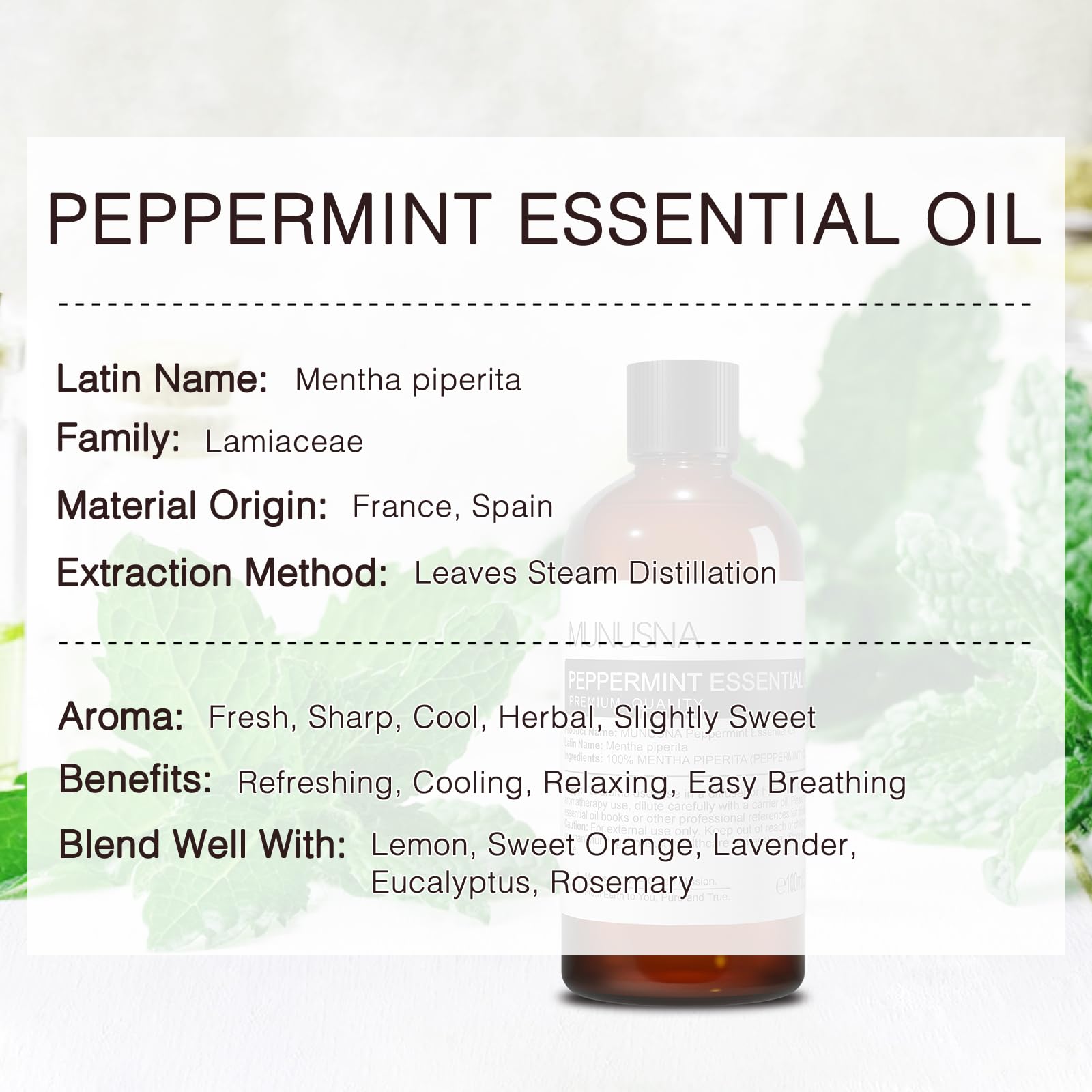 MUNUSNA aroma de menta: difusor para ambientes frescos y revitalizantes.