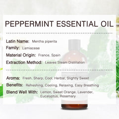 MUNUSNA aroma de menta: difusor para ambientes frescos y revitalizantes.