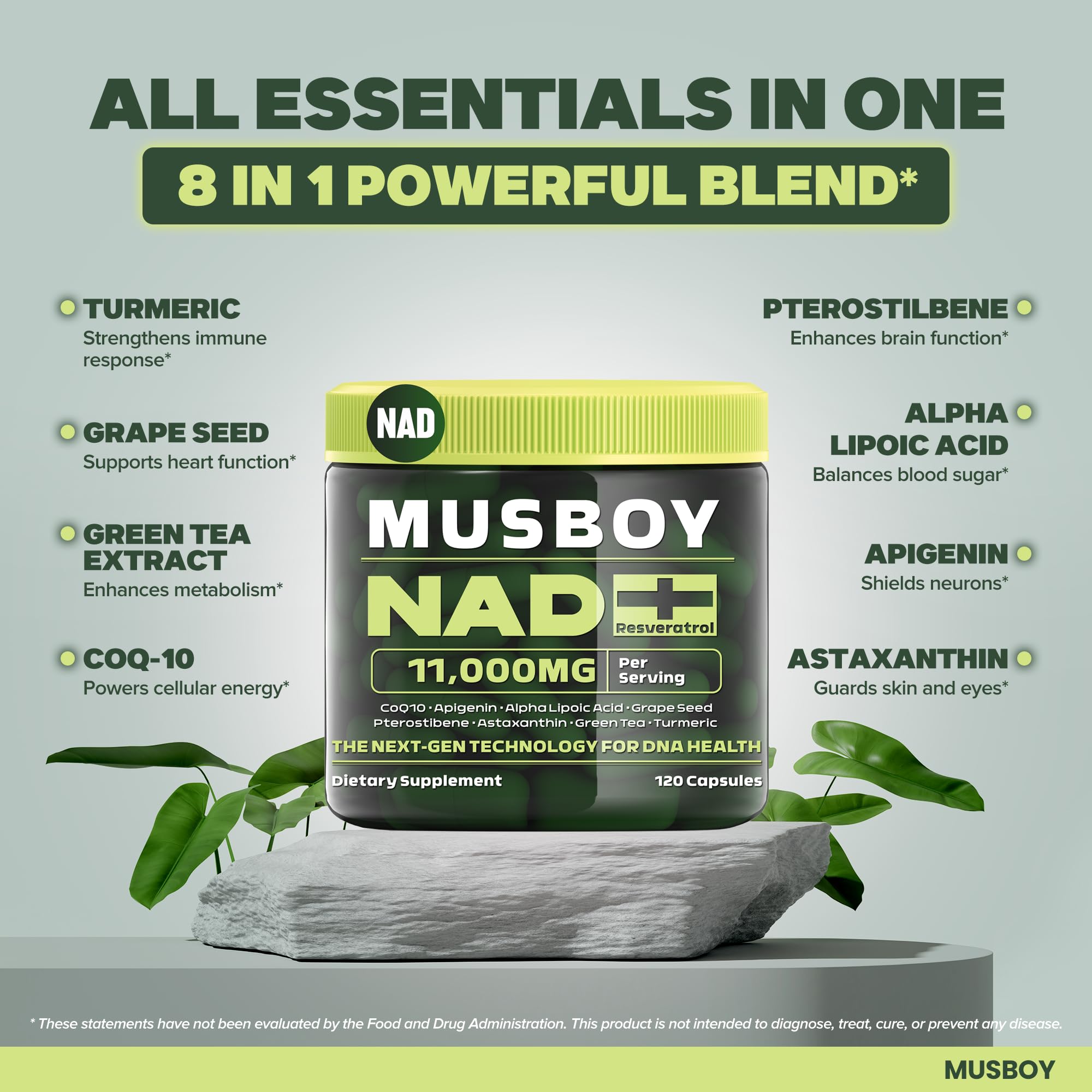 Musboy NAD+ Plus dispense pour demonstrates precise dosing for morning energy