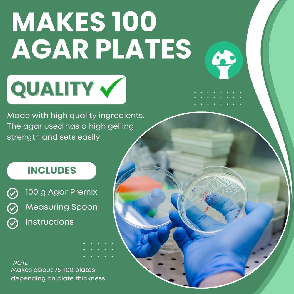 Mushroom Merchant MEA Premix ready agar plates for reliable observations.