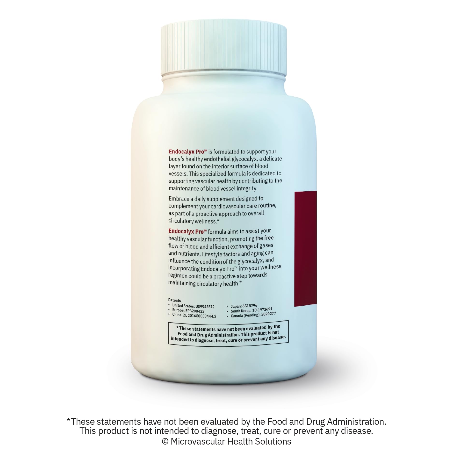 MYBODYRX Endocalyx Pro glycocalyx protection concept illustration communicates vascular barrier benefits