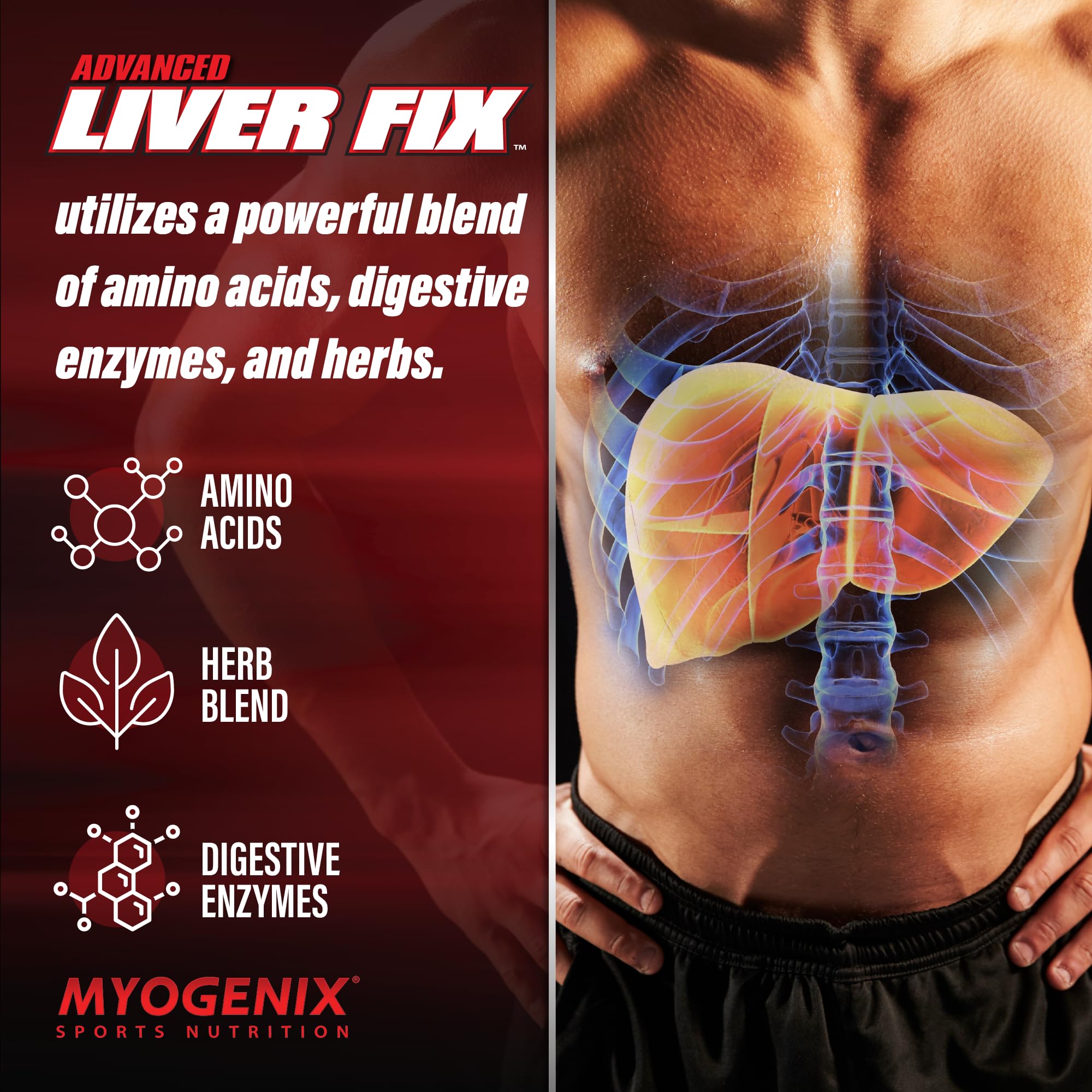 Myogenix Liver Fix dandelion root highlight suggesting broad organ support.