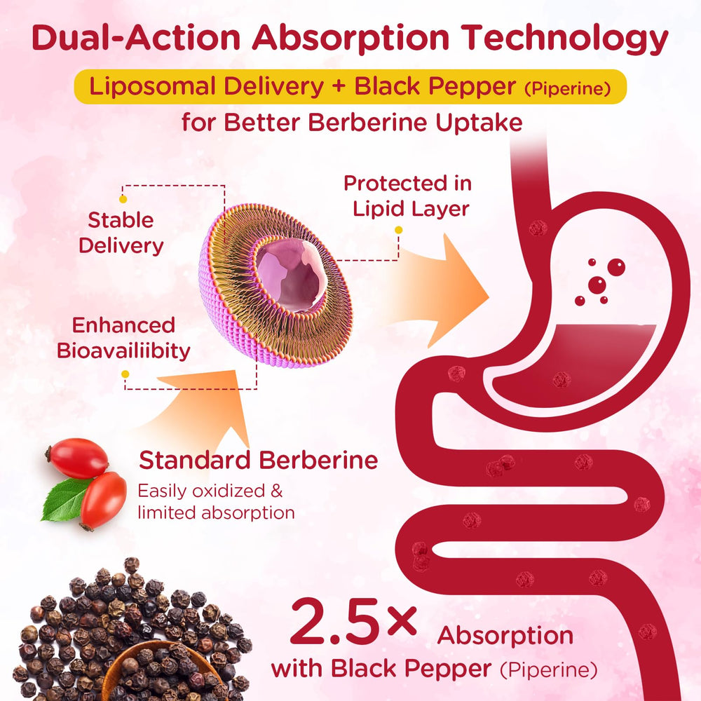 Myrtaverde Probiotic duo with Berberine for gut–glucose synergy