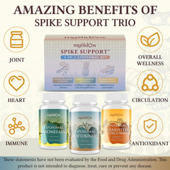 Mystidow Spike Support Trio ingredients chart highlights Curcumin, Bromelain, Nattokinase and fermentation.