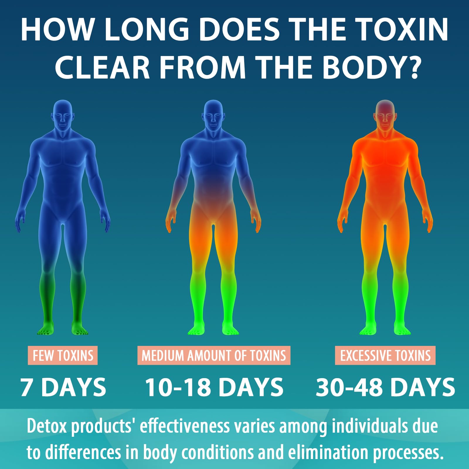 MythoTecq detox ingredients burdock root shown for toxin-targeting support
