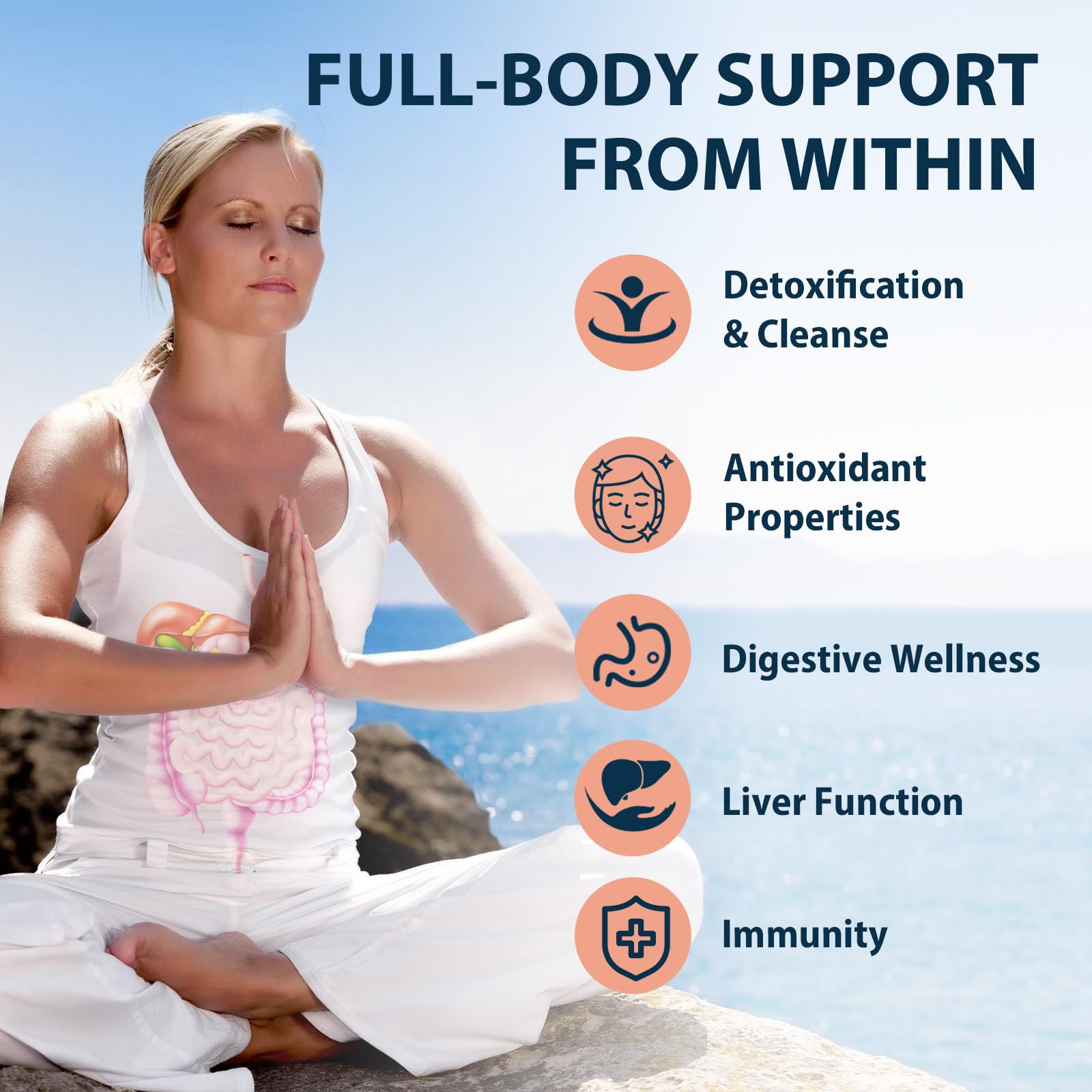 MythoTecq Ingredient chart showing milk thistle, curcumin, and chlorella blend.