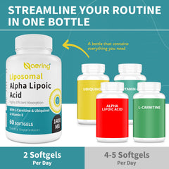 Naering liposomal visualization with liposome illustration showing enhanced delivery