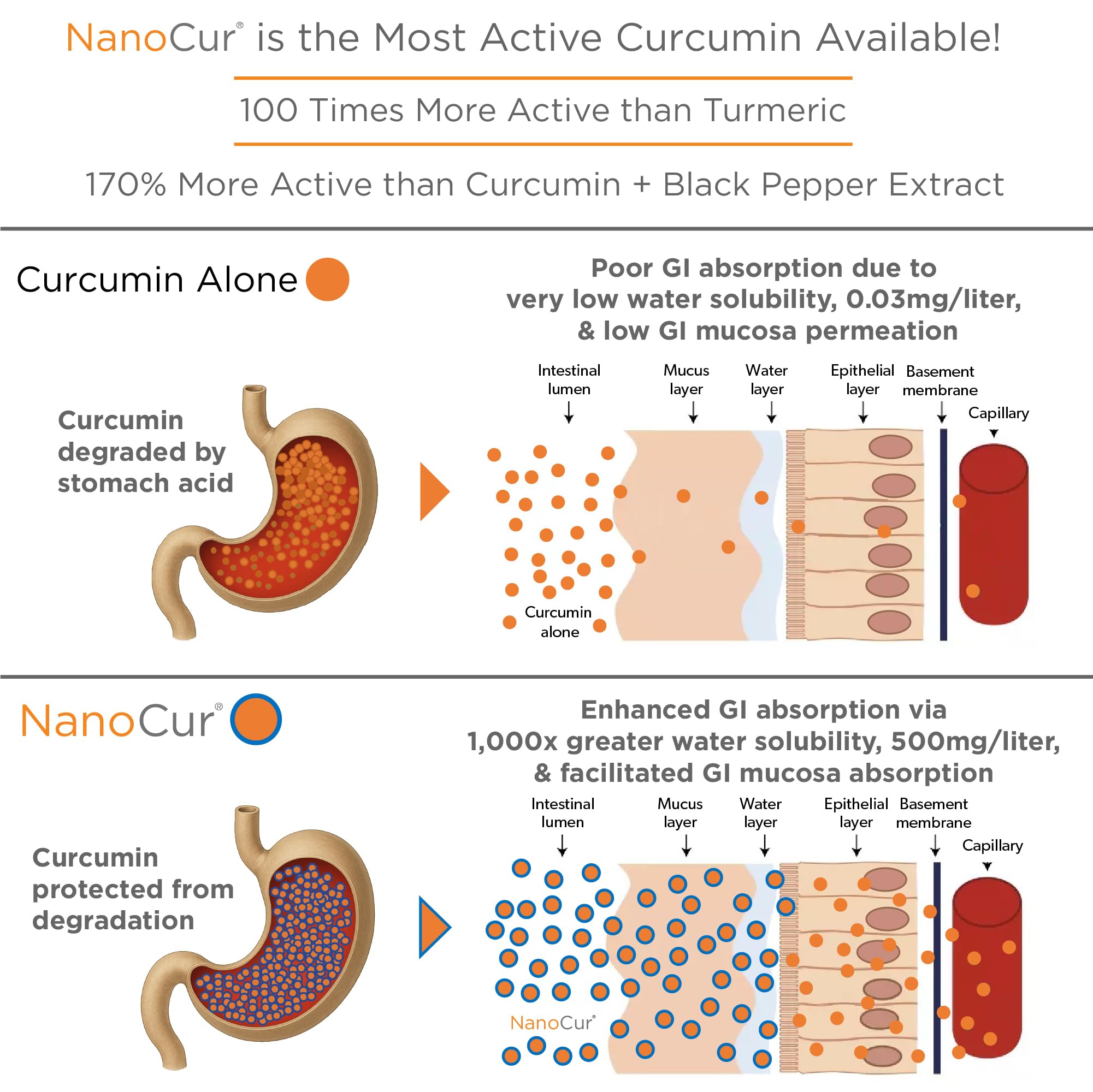 Nanocur third-party testing certificate demonstrates consistent quality.