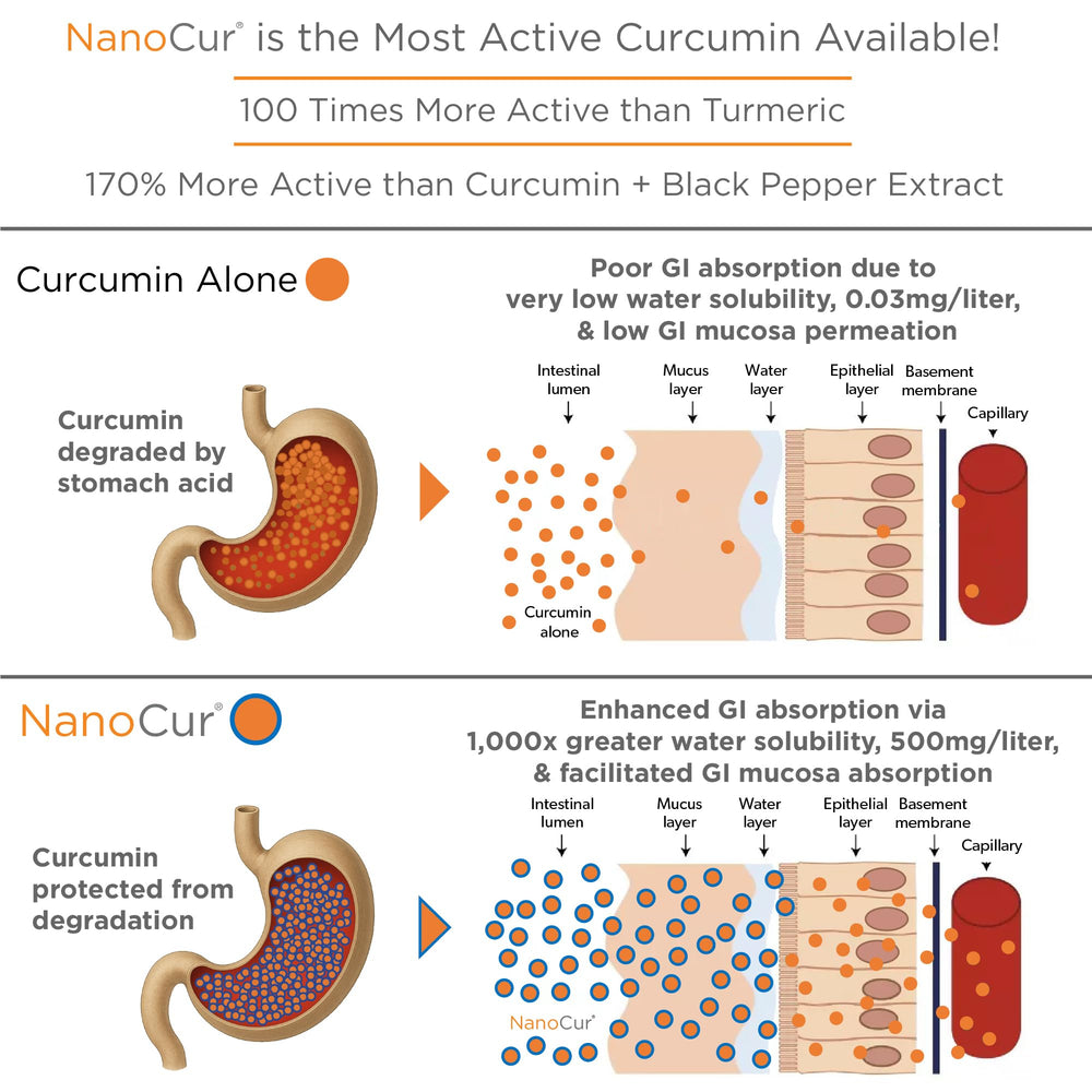 Nanocur third-party testing certificate demonstrates consistent quality.