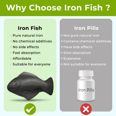 Nano Shield Iron Fish enriches stew with iron during simmering