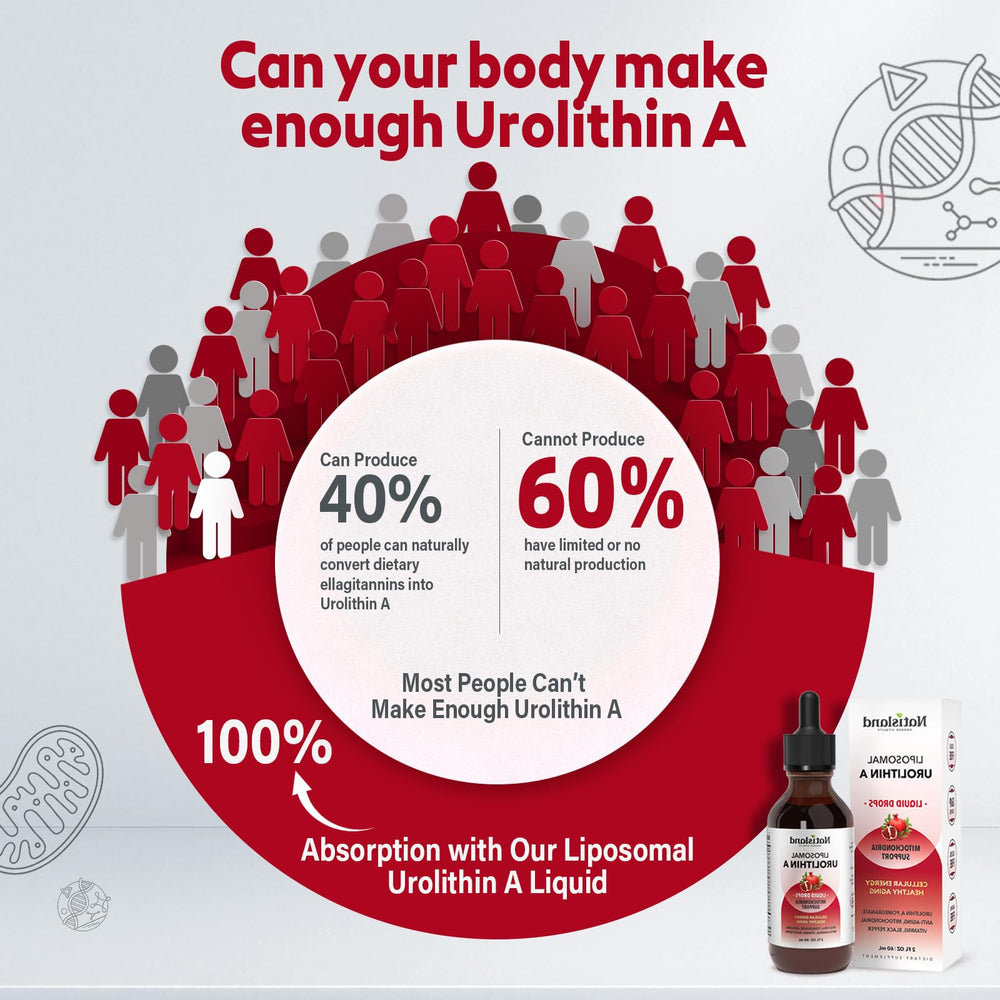 NATISLAND collagen peptides indicate skin-elasticity support