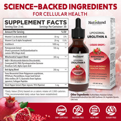 NATISLAND Urolithin A drops with pump for easy dosing