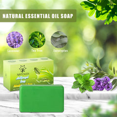 Natouch antifungal soap bar lathering foam showcases natural ingredients for skin comfort.