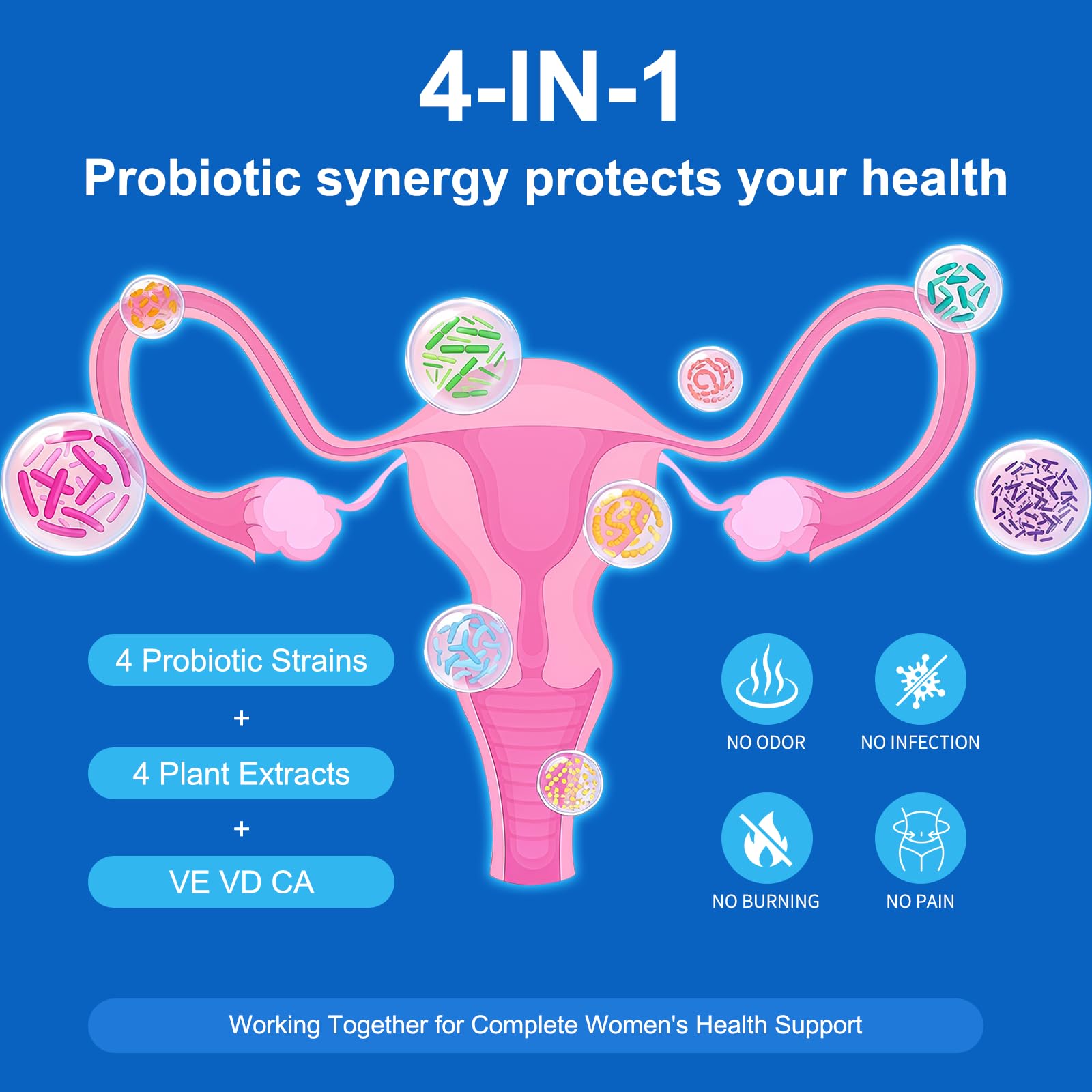 Natprime Akkermansia probiotic capsules emphasize microbiome support for overall well‑being.
