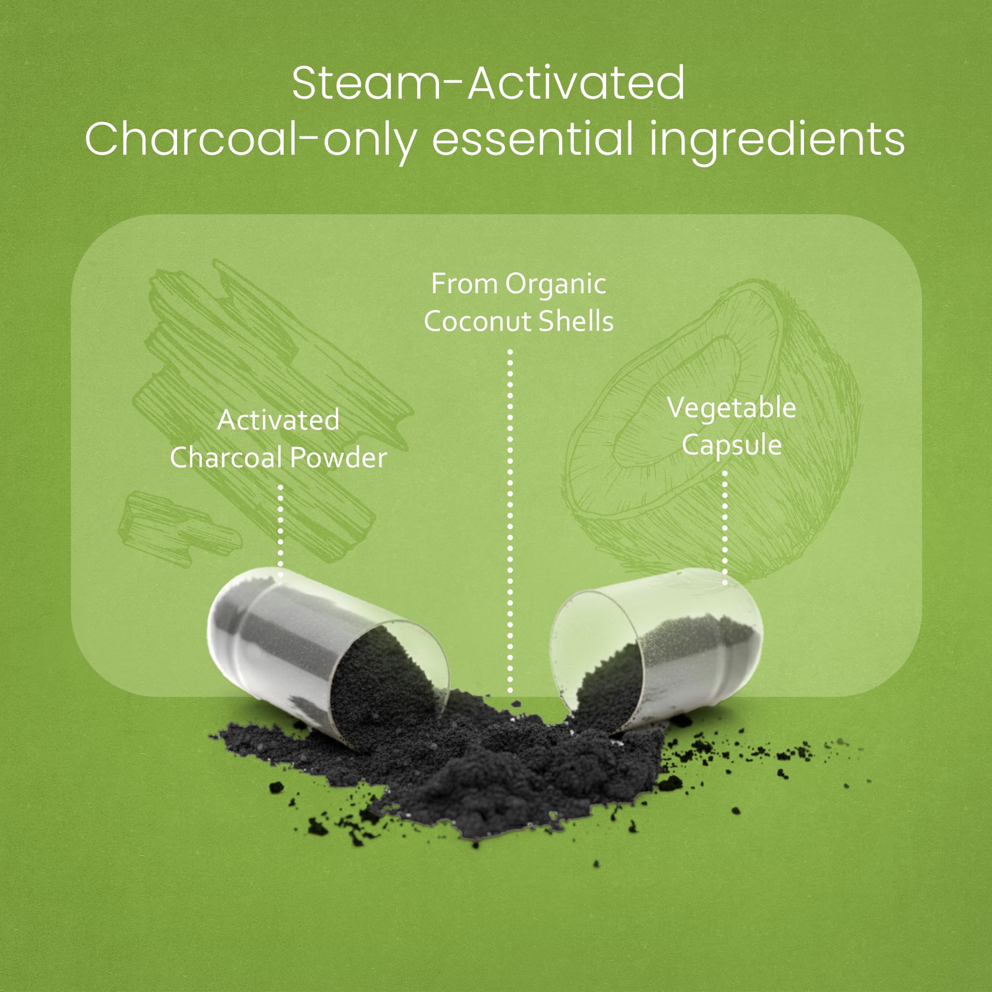 NaturaLife Labs activated charcoal capsules in hand emphasizing convenient 100-count pack
