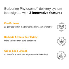 Natural BioScience berberine phytosome illustration highlights advanced delivery for improved bioavailability.
