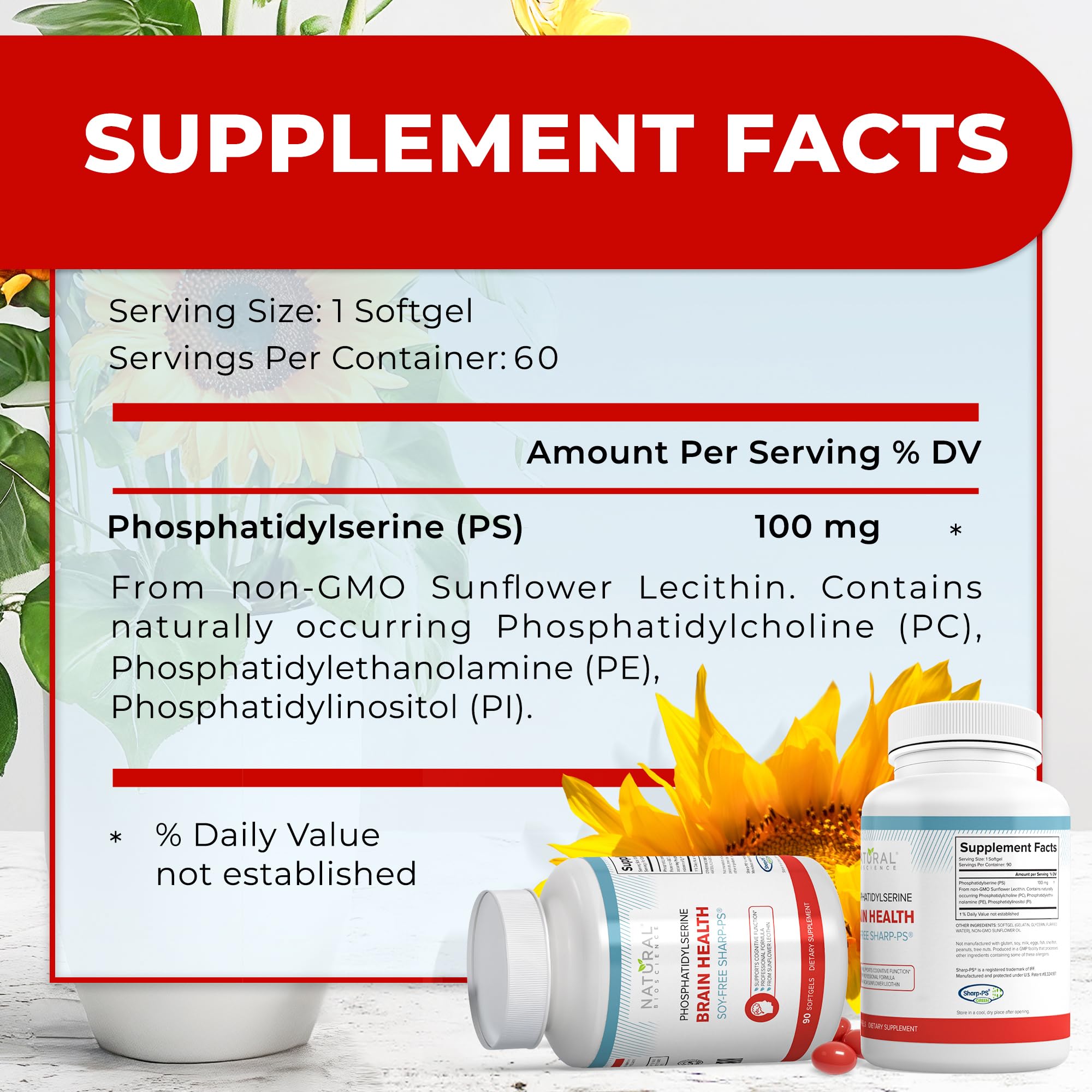 Softgels arranged for daily cognitive support during study.