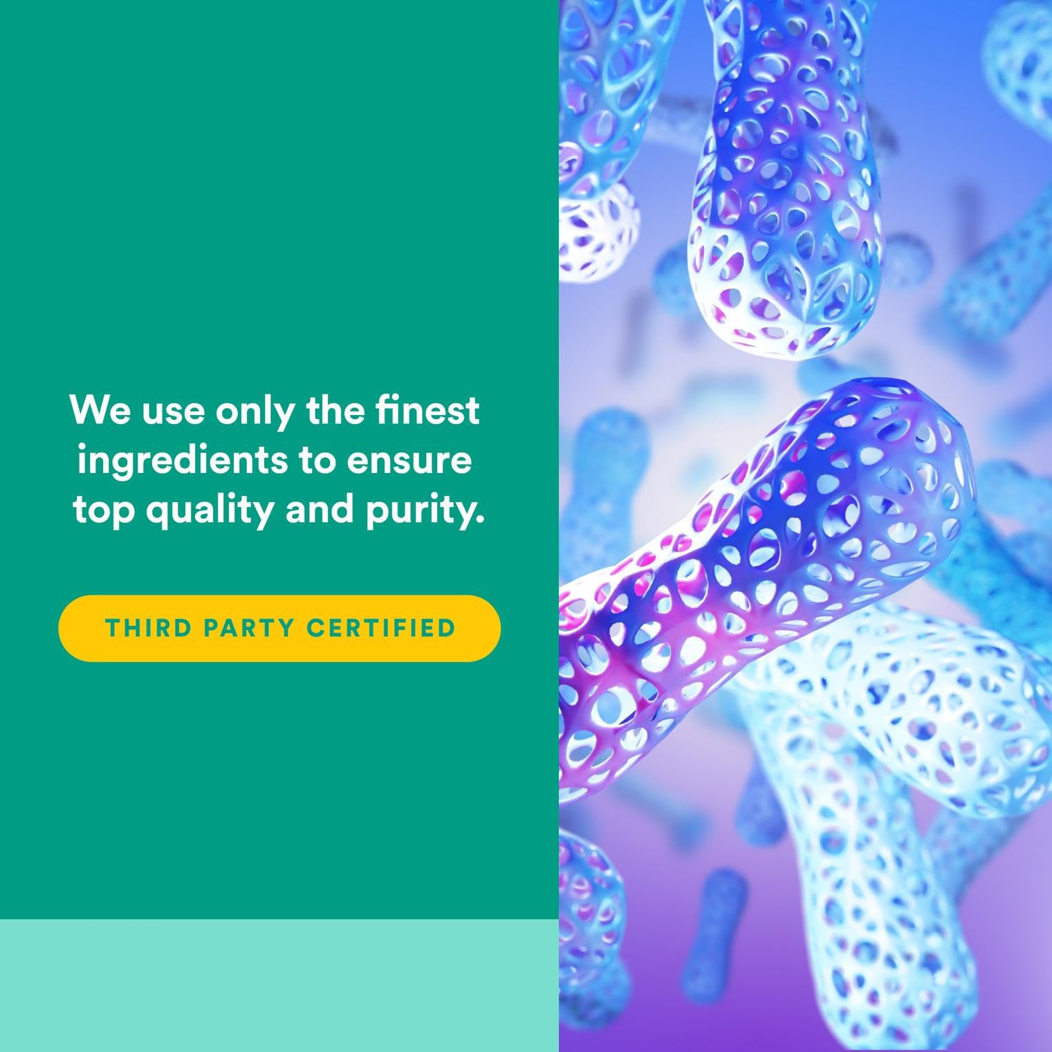Natural Factors Alpha-Lipoic Acid 200 mg packaging showcases premium supplement quality.
