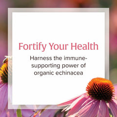 Natural Factors Anti-V Formula packaging reveals echinacea and reishi in the blend