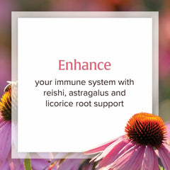 Natural Factors Anti-V Liquid echinacea plant image emphasizing organic sourcing for wellness.