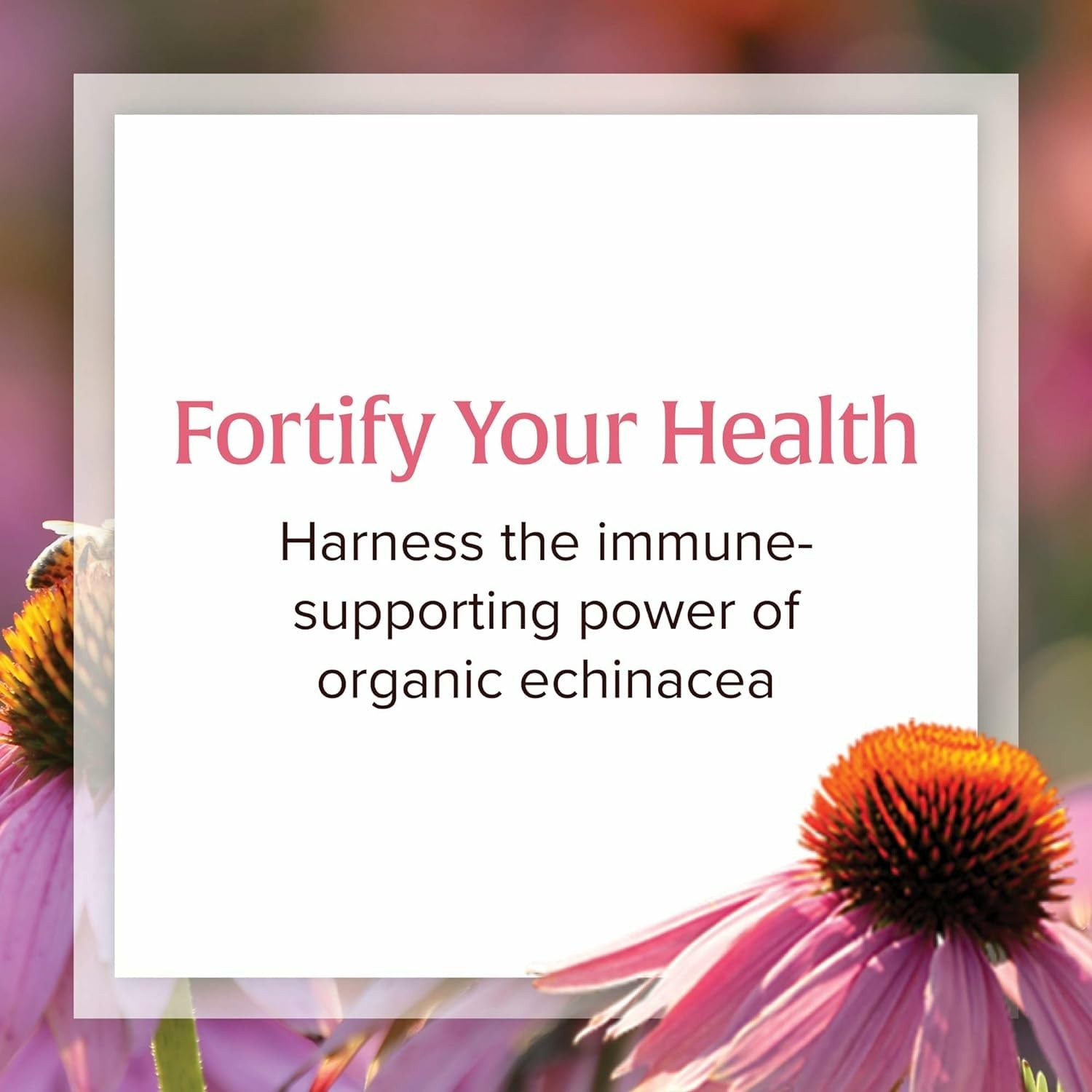 Natural Factors Anti-V Liquid label with organic echinacea, highlighting clean ingredients.