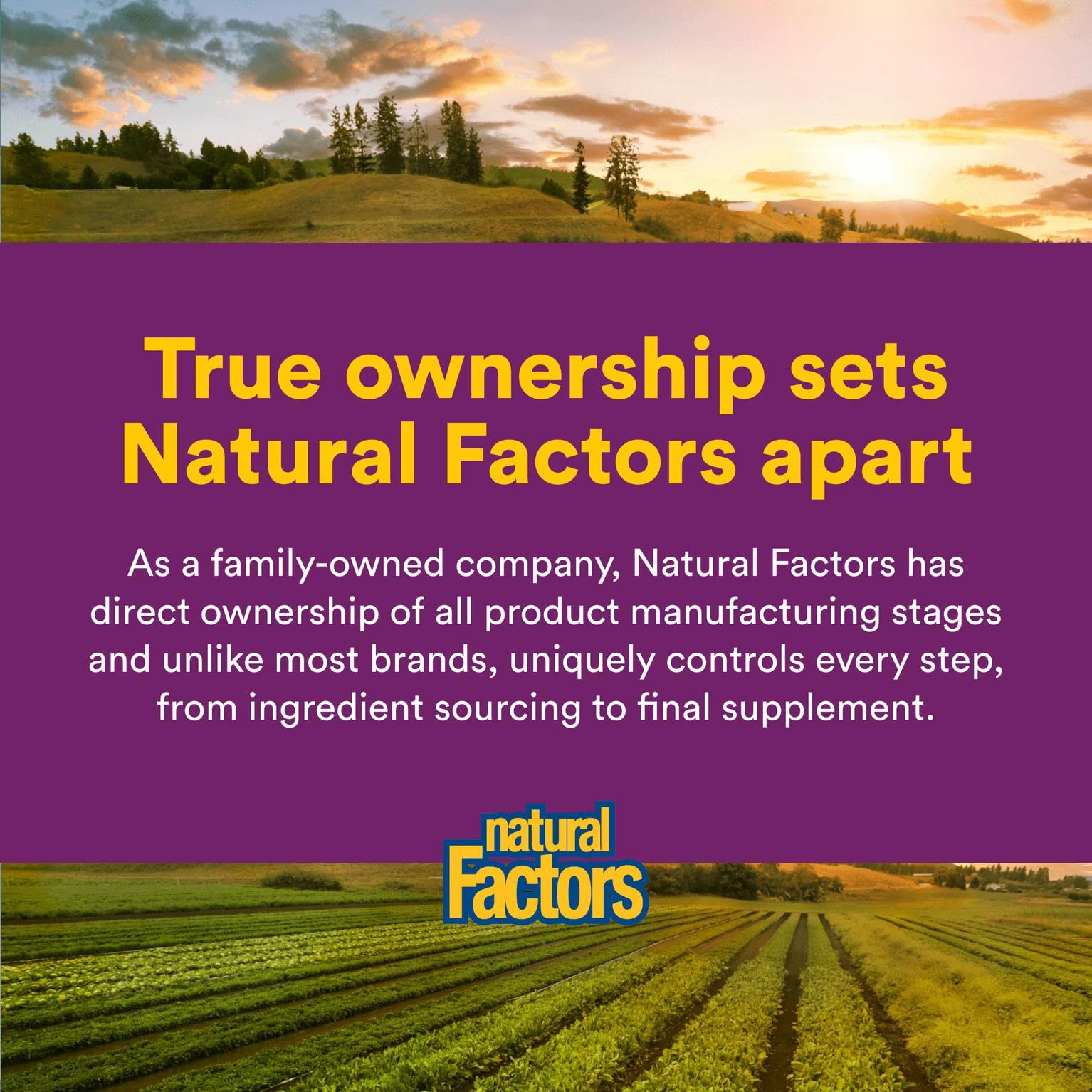 Natural Factors B12 1000 mcg tablets with third‑party testing for purity and potency.