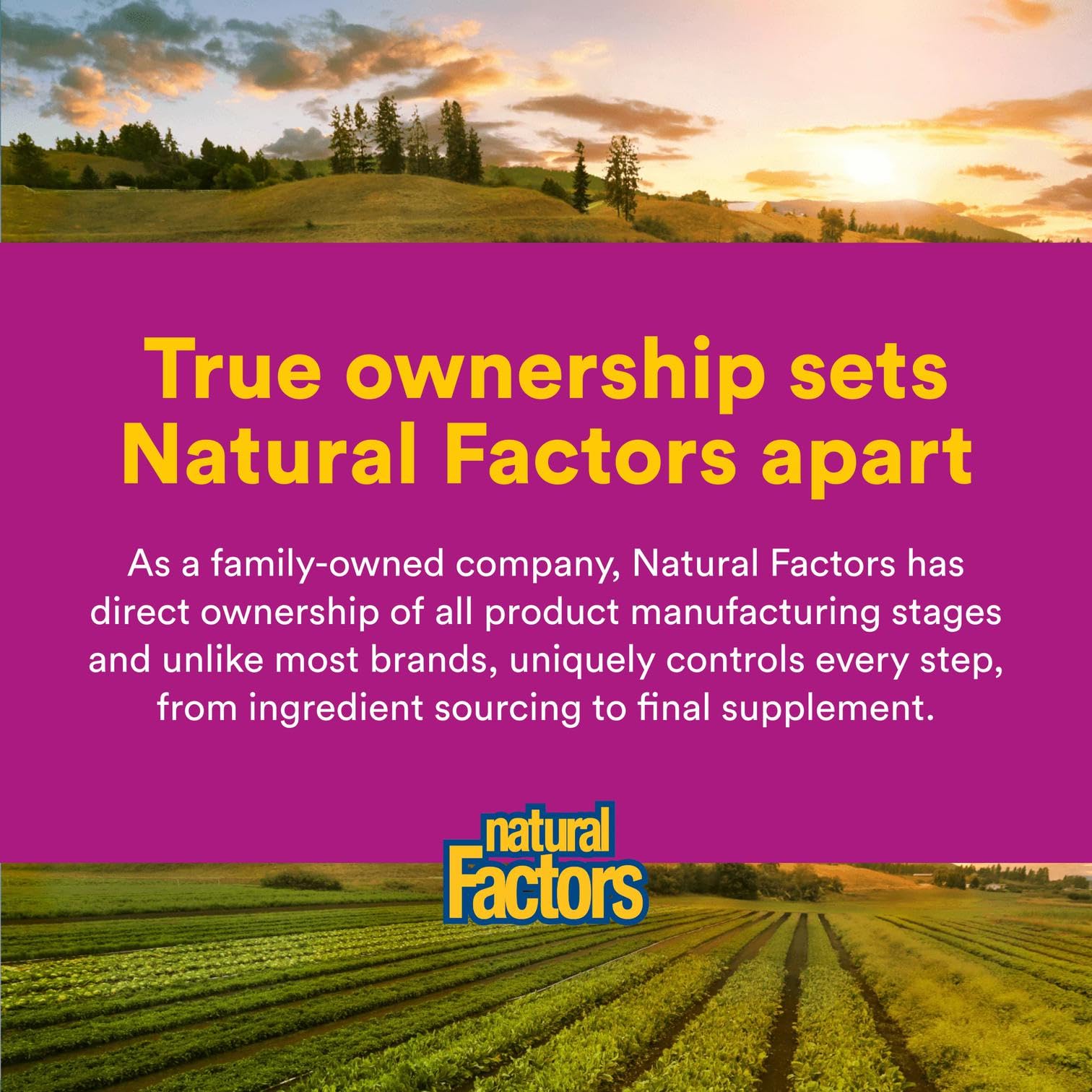 Natural Factors B12 third-party certified for purity.