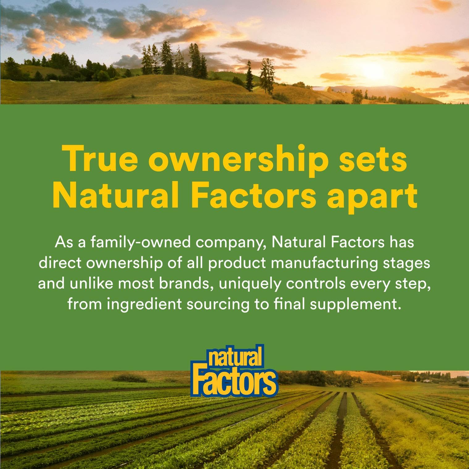Natural Factors Betaine HCL capsules in hand showing dosage.