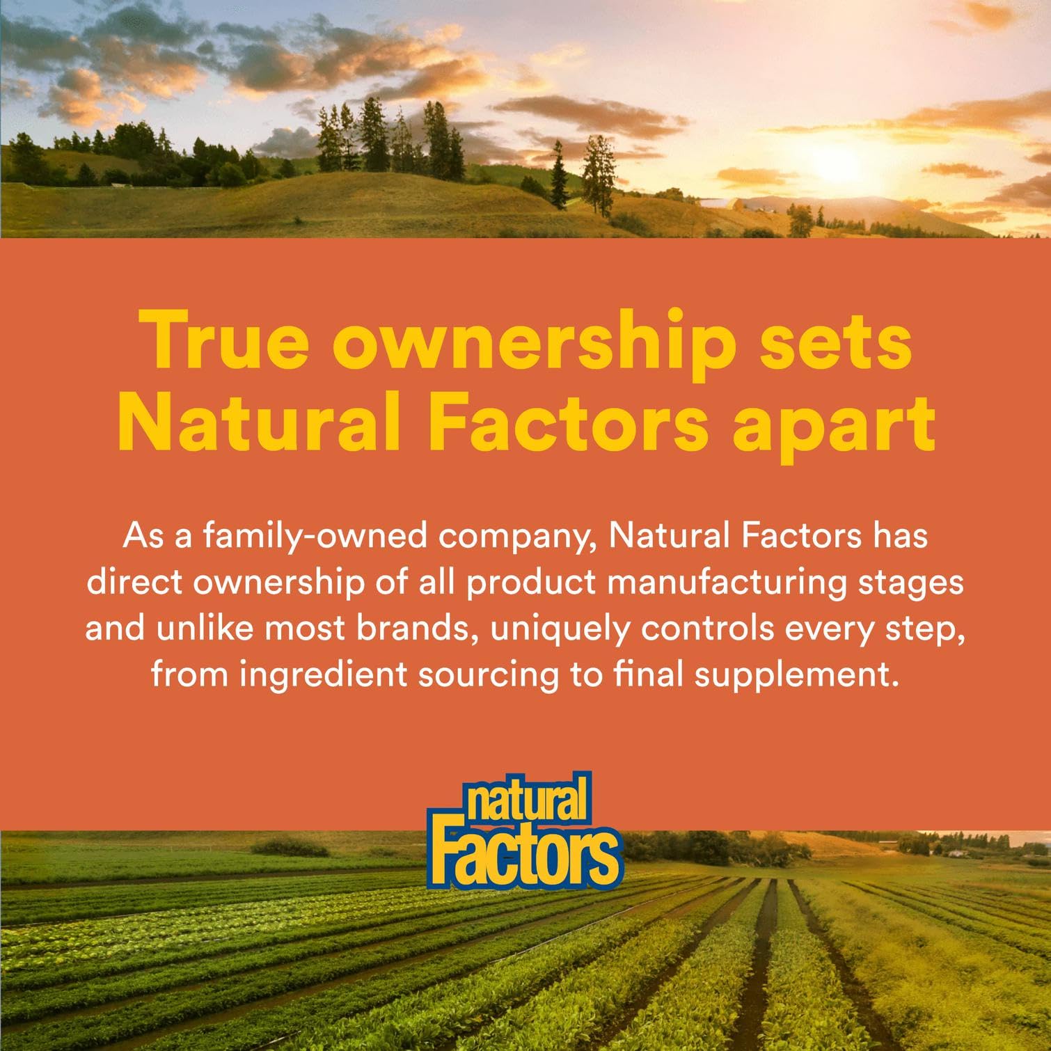 Natural Factors supports healthy bones, gums, and teeth with consistent daily use
