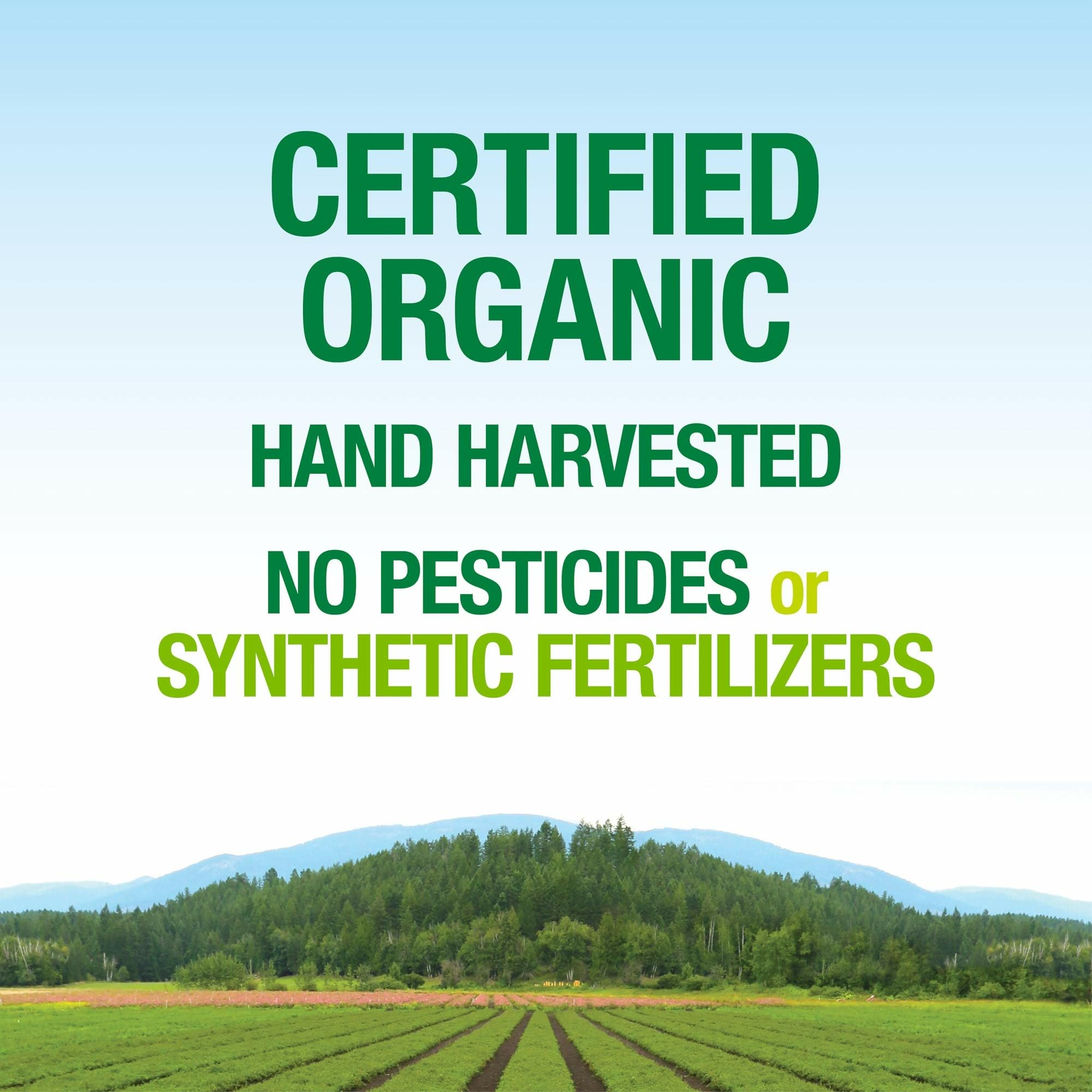 Natural Factors label back closeup showing non-GMO and allergen-free details.