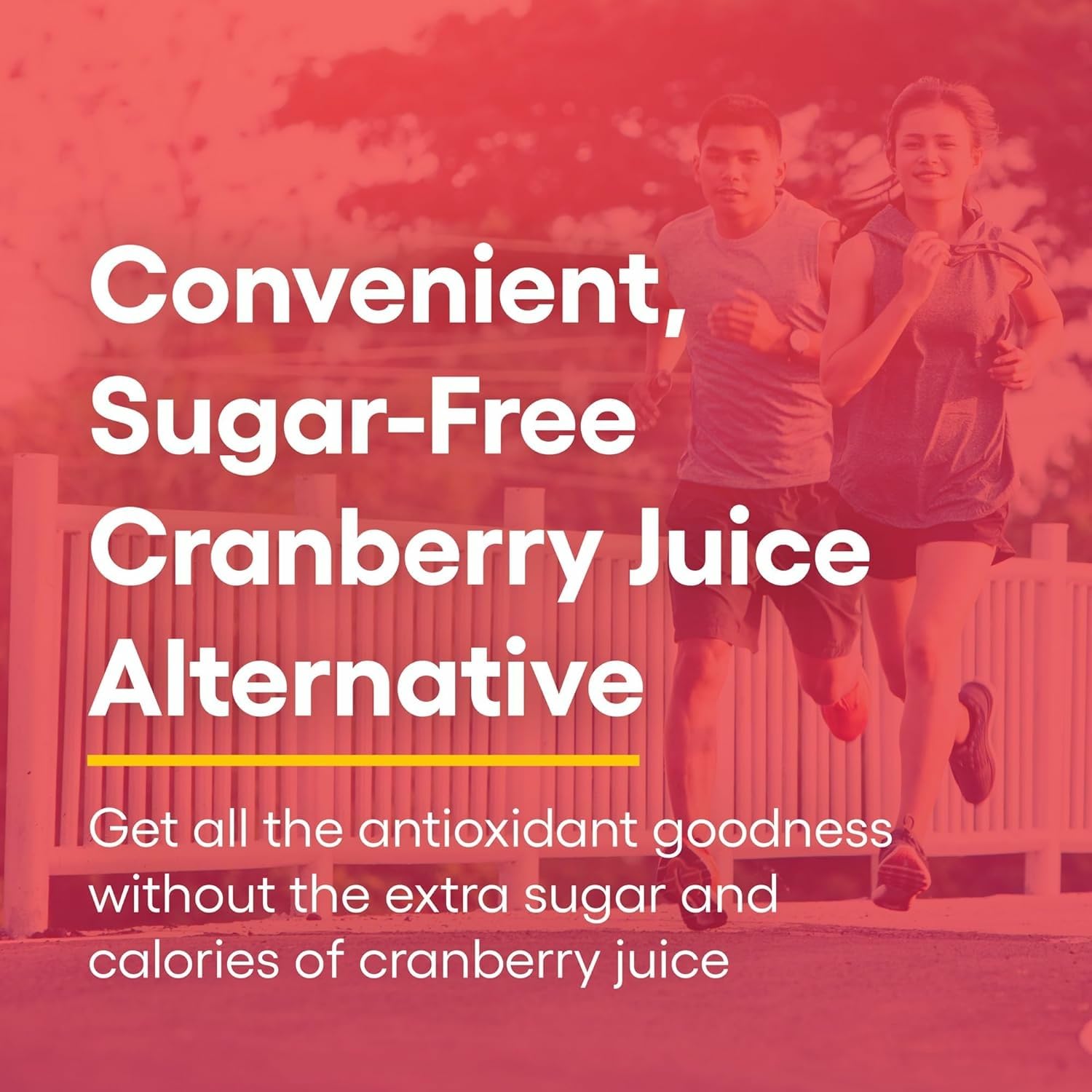 Natural Factors brand logo with allergen-free and sugar-free formulation emphasis.