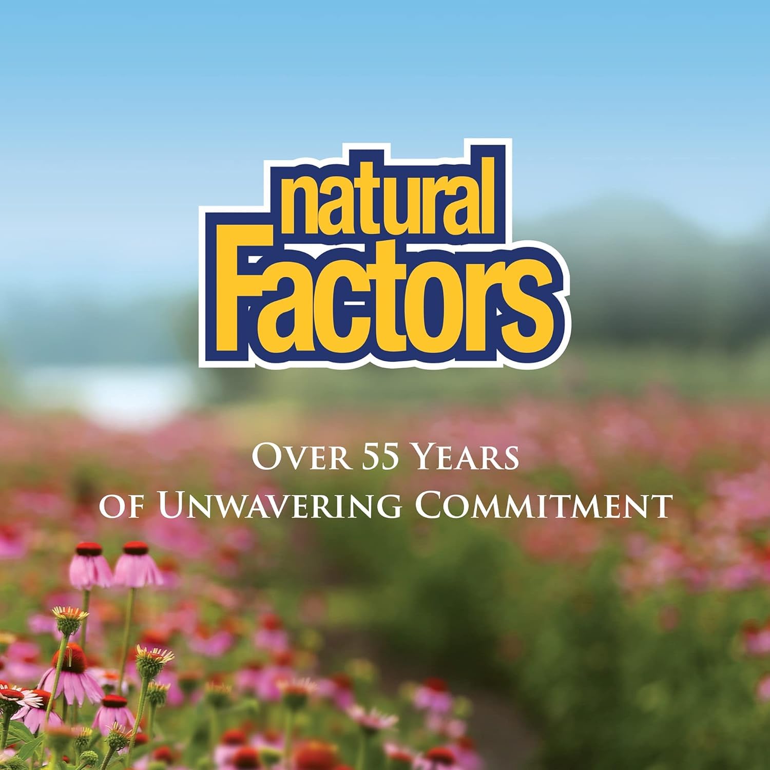 Natural Factors Bromelain 500 mg capsule count on bottle label