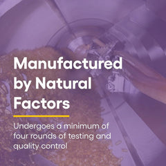 Natural Factors Coenzyme Q10 rice bran oil visual suggesting enhanced bioavailability and absorption.