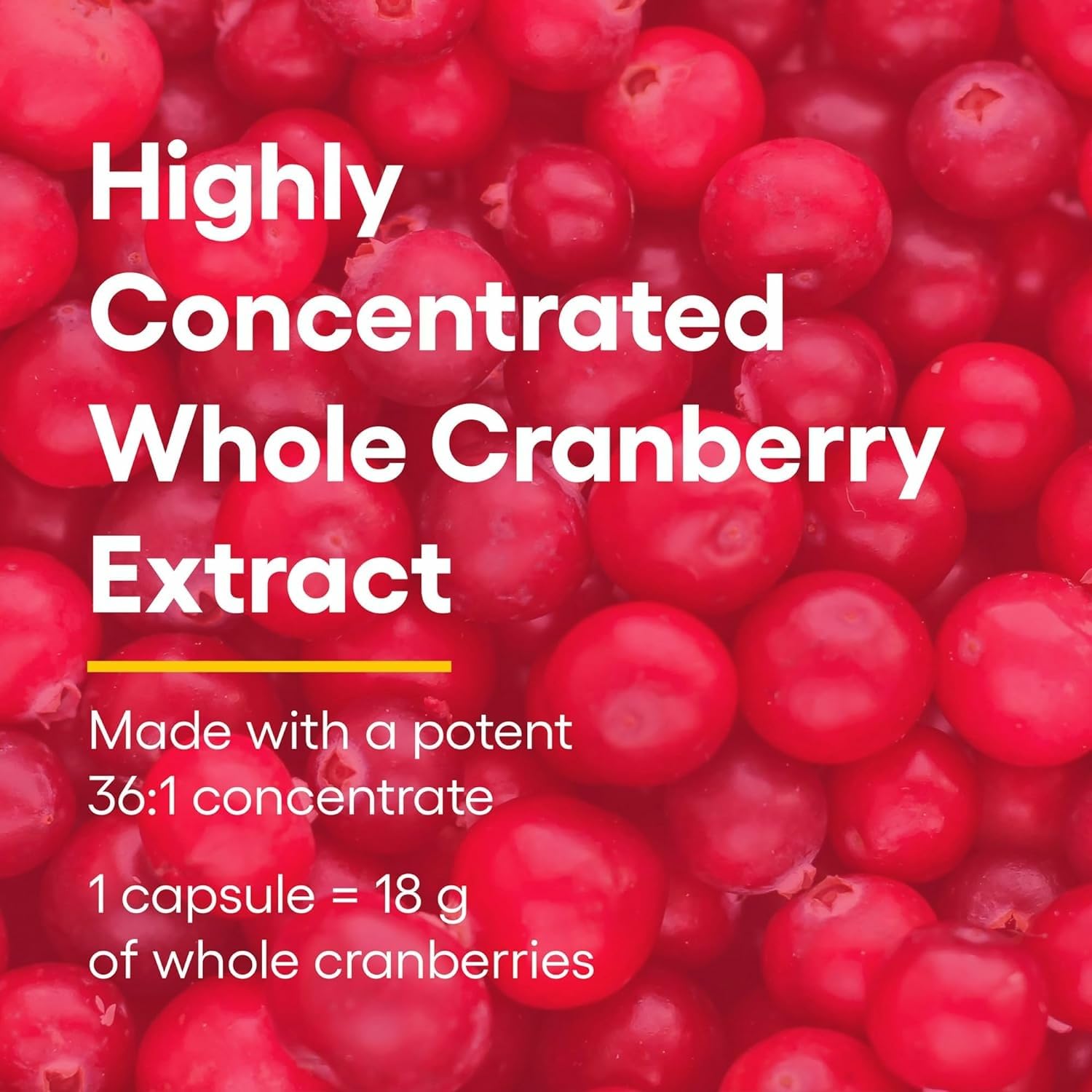Natural Factors CranRich capsules closeup emphasizes cranberry concentration