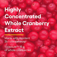 Natural Factors CranRich capsules closeup emphasizes cranberry concentration