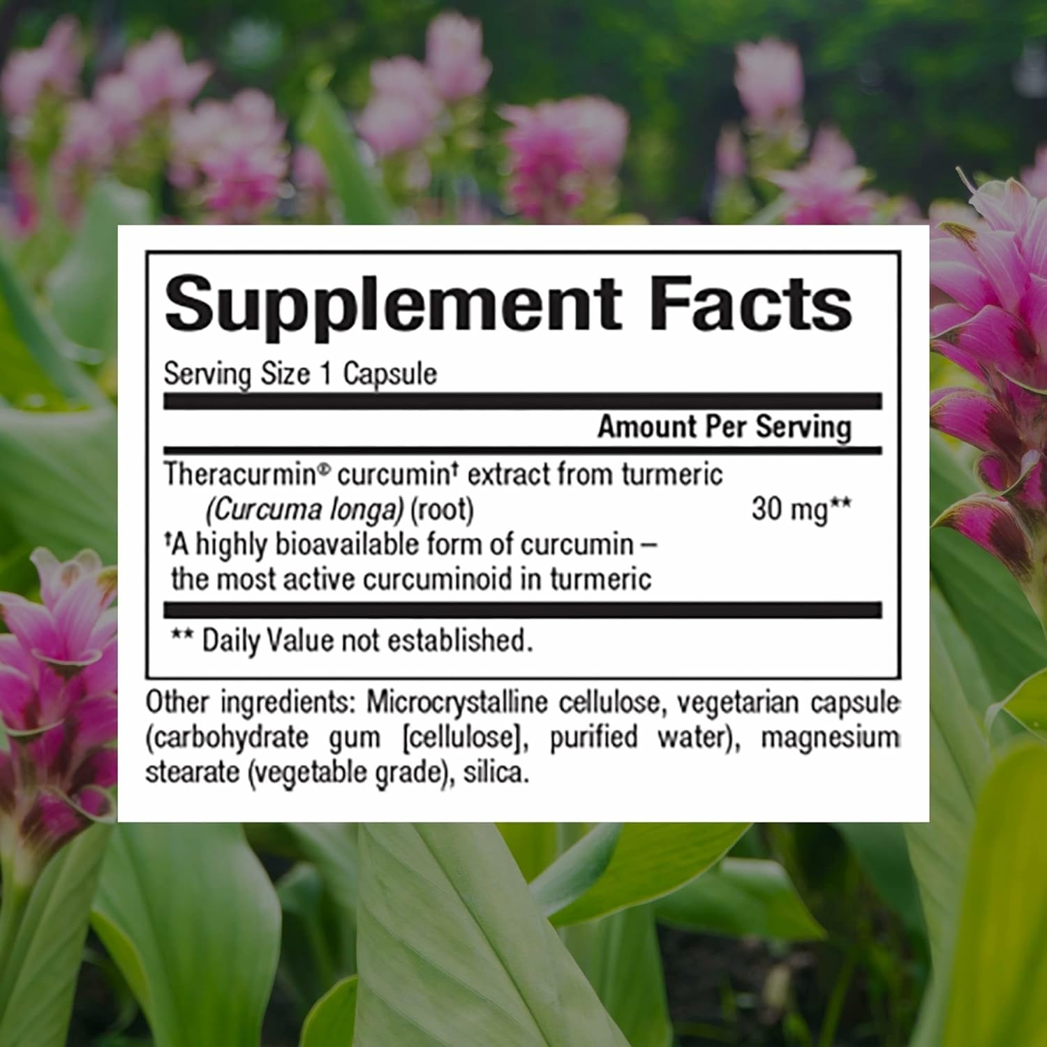 Natural Factors CurcuminRich Theracurmin capsules, small and easy to swallow