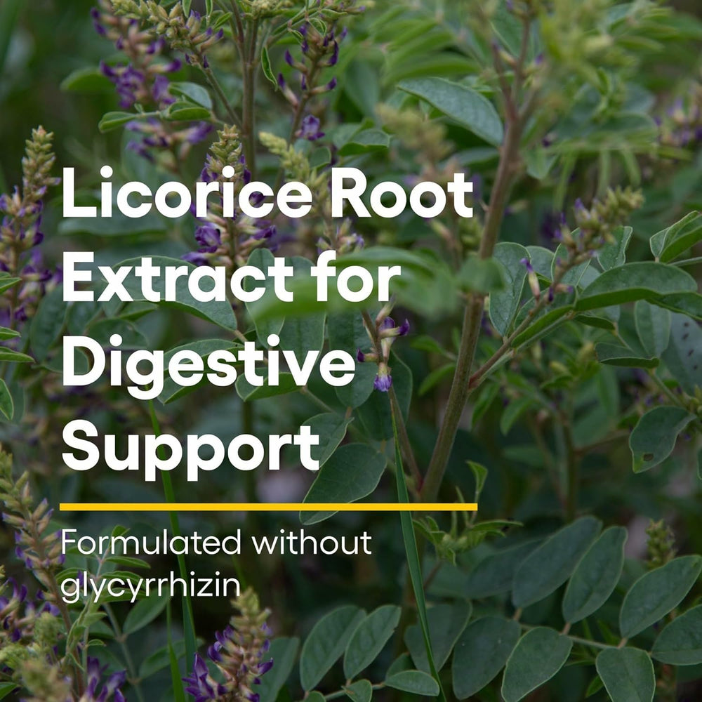 Close-up of licorice root extract in Natural Factors DGL Chewable for digestion.