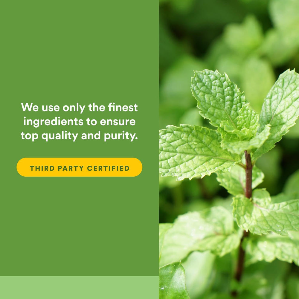 Natural Factors digestive health concept highlighting peppermint and oregano.