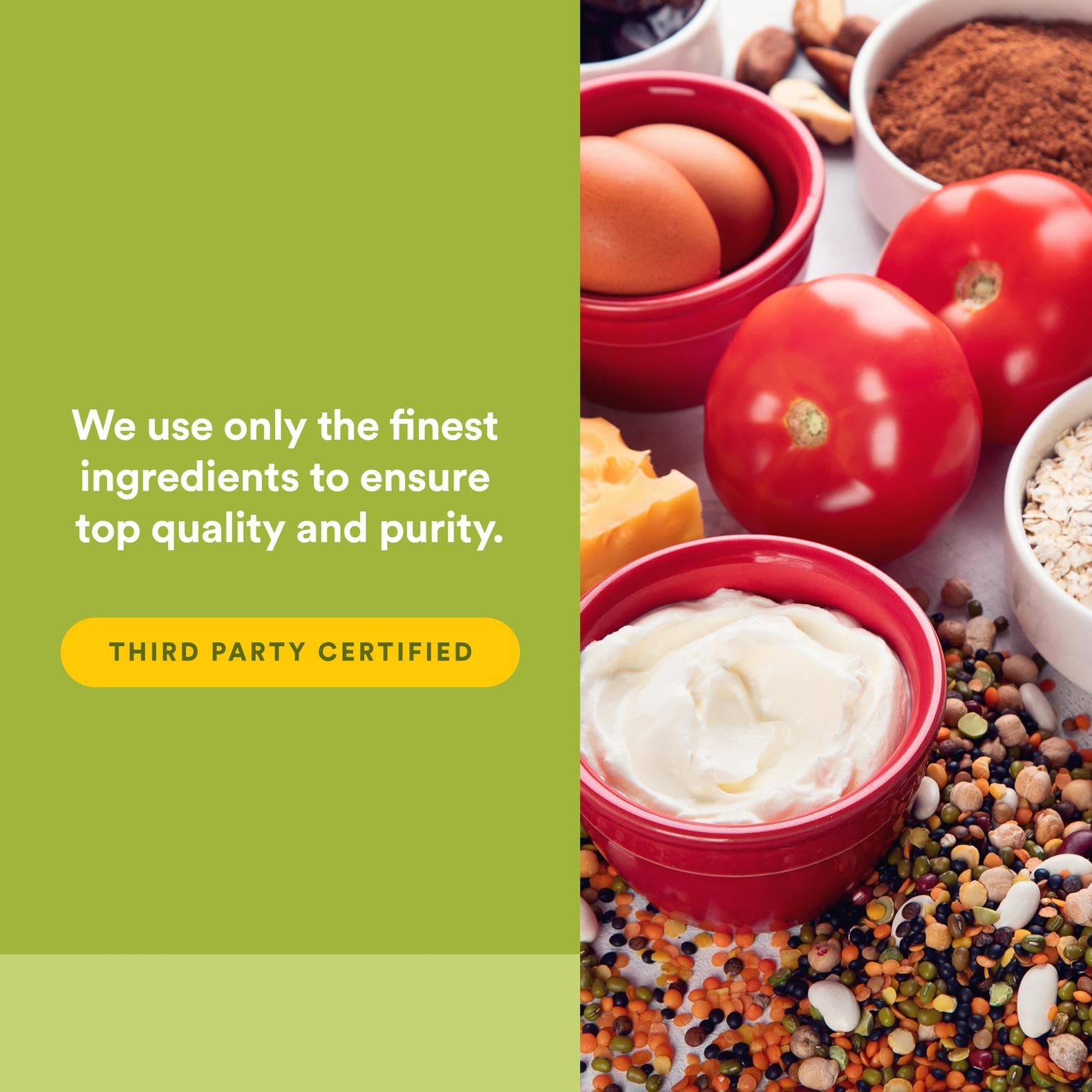 Natural Factors energy-support nutrients illustrate vitamins, minerals, enzymes, and phytonutrients.