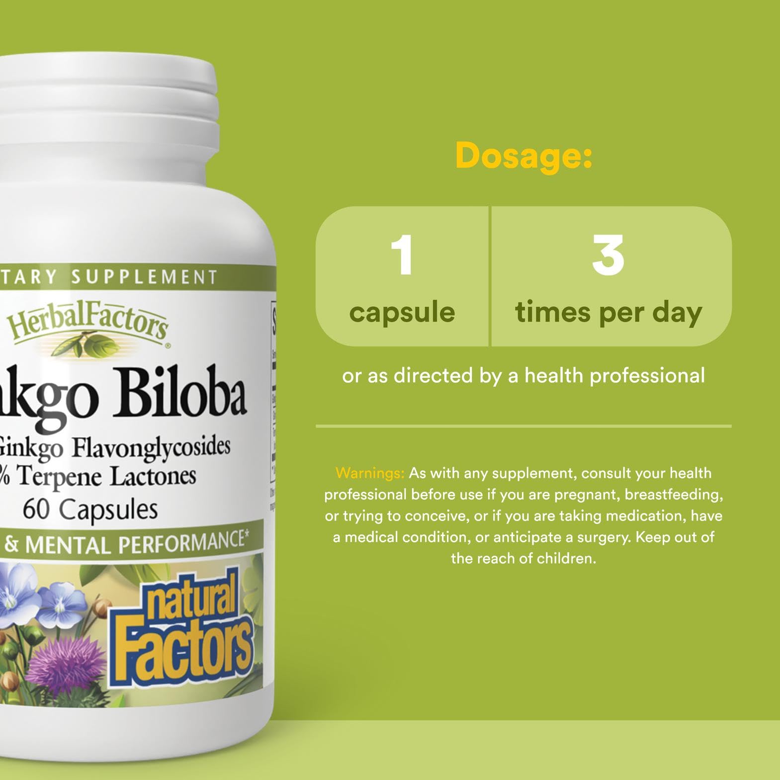 Natural Factors HerbalFactors Ginkgo Biloba label closeup highlights key ingredients