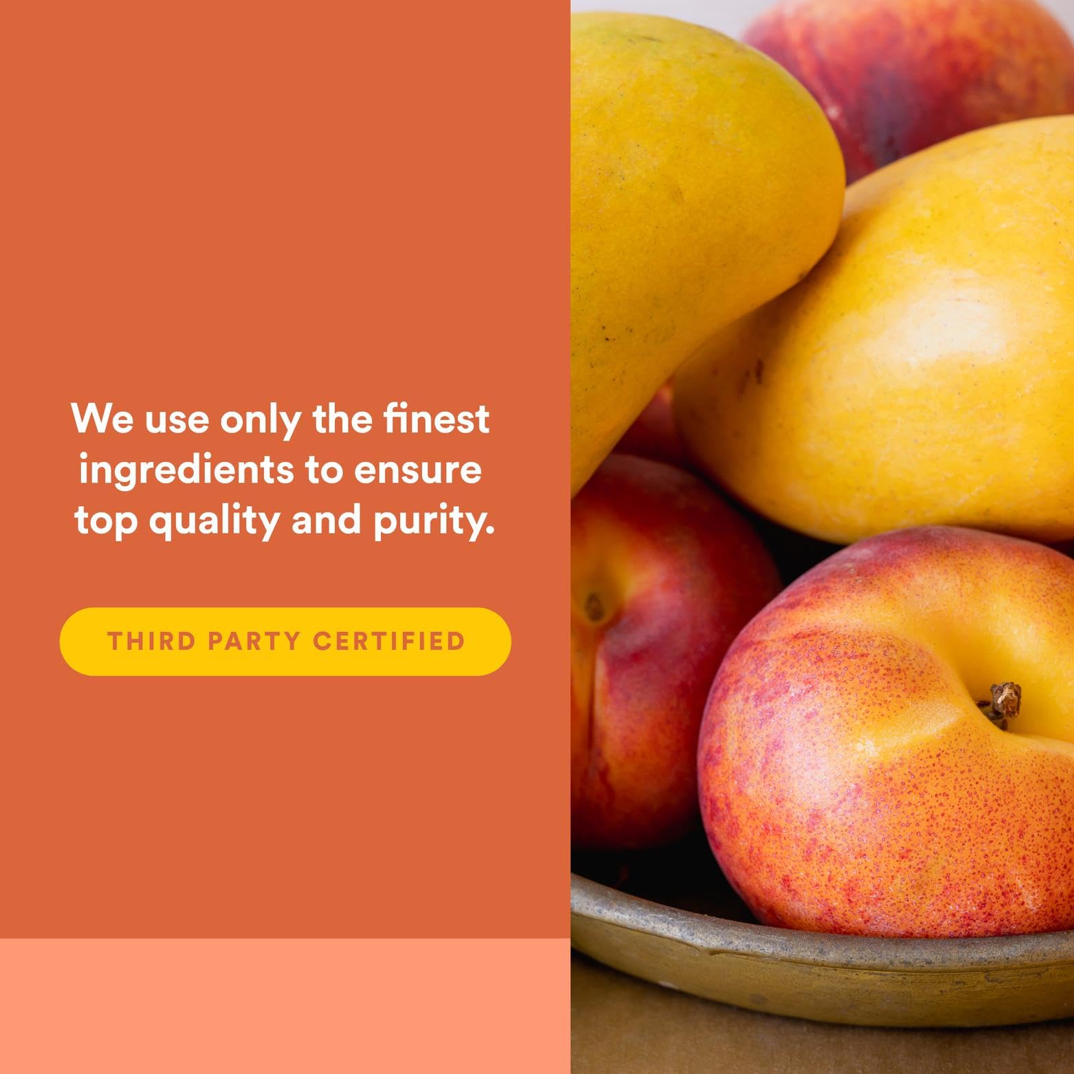 Natural Factors Vitamin C wafers fruit flavor inviting kids to chew