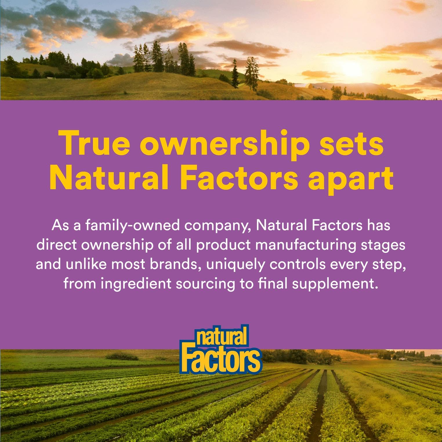 Natural Factors vegan, non-GMO vitamin C option suitable for vegetarians