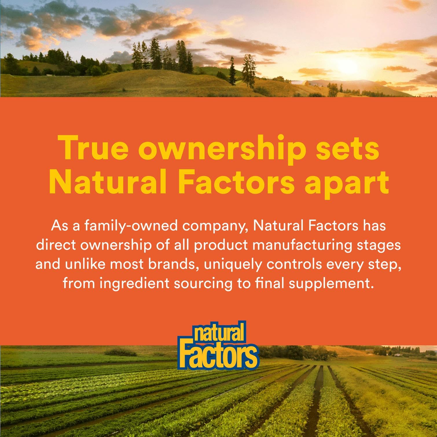 Natural Factors Liposomal Vitamin C 60 Softgels daily-use scene communicates self-care routine.