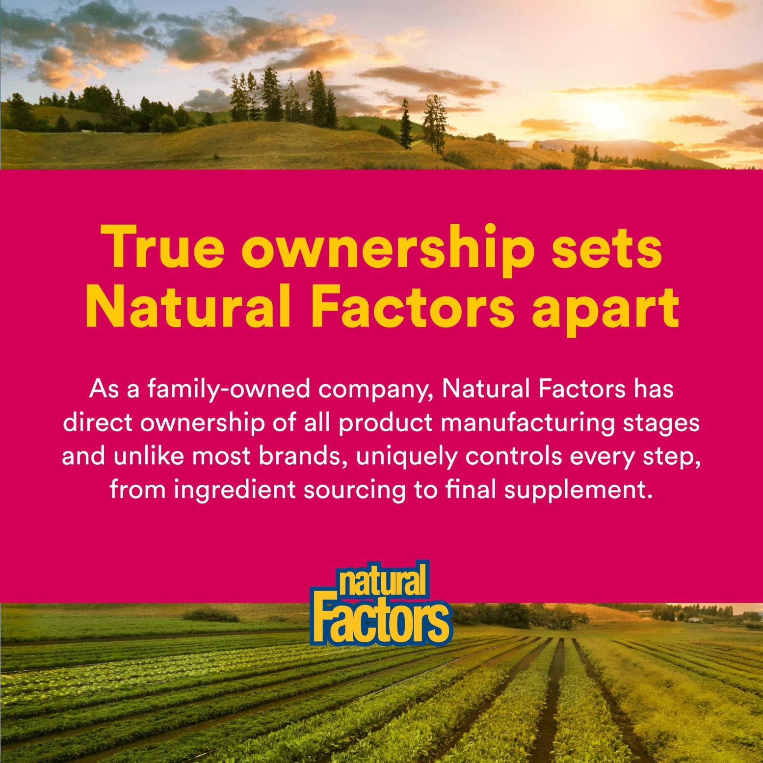 Natural Factors Magnesium Citrate nutrition panel showing dosage information