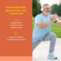 Natural Factors MSM Joint Formula bottle back label highlights key ingredients.