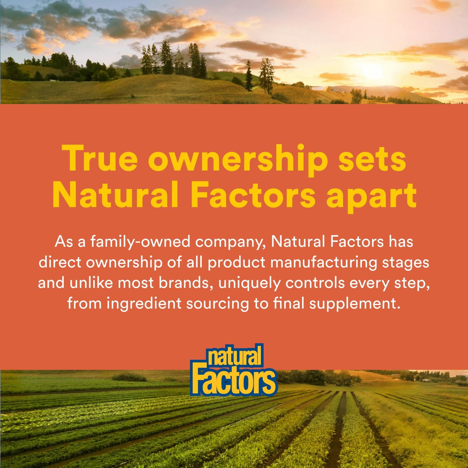Natural Factors MSM testing setup illustrating third-party verification.