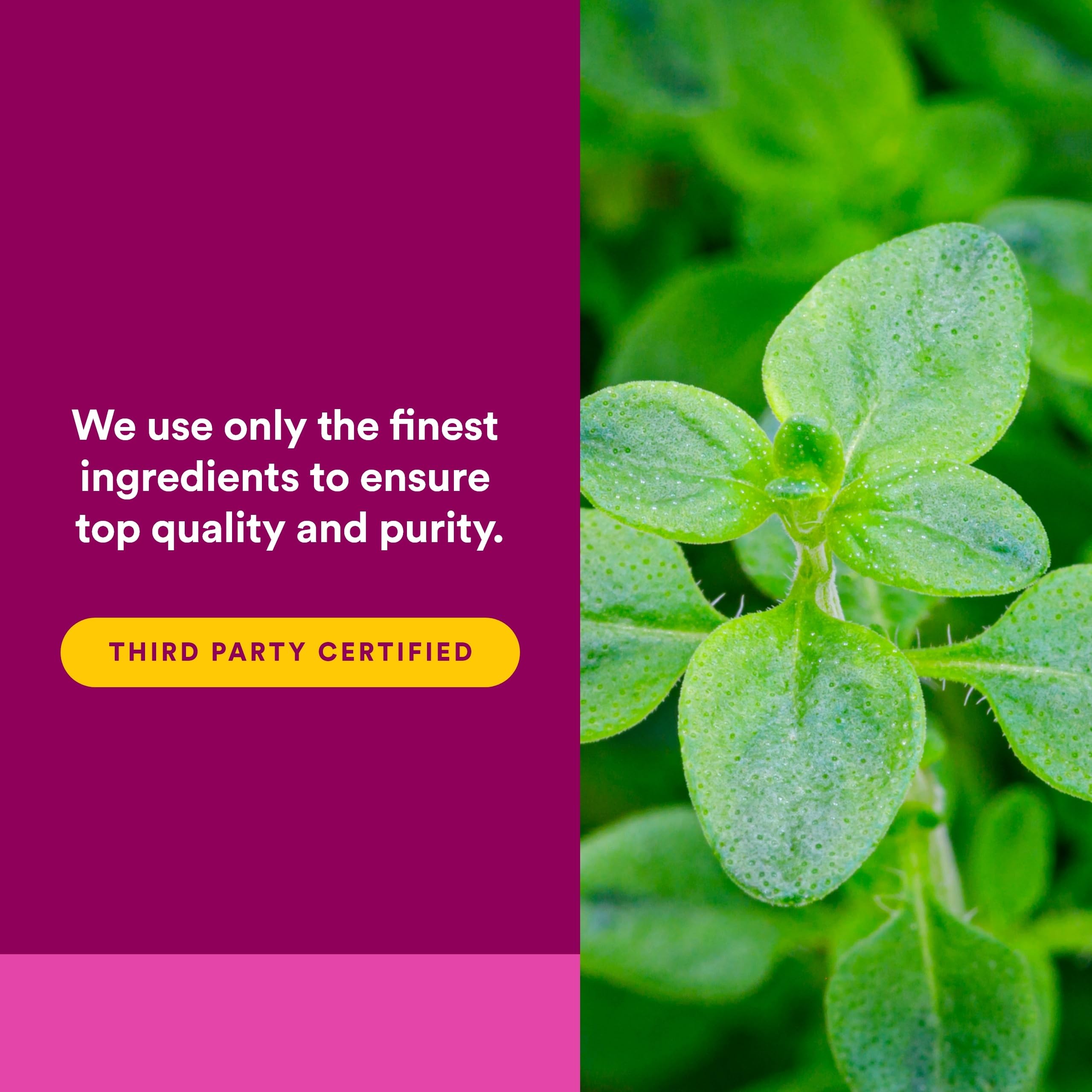 Natural Factors Non-GMO and gluten-free branding on packaging