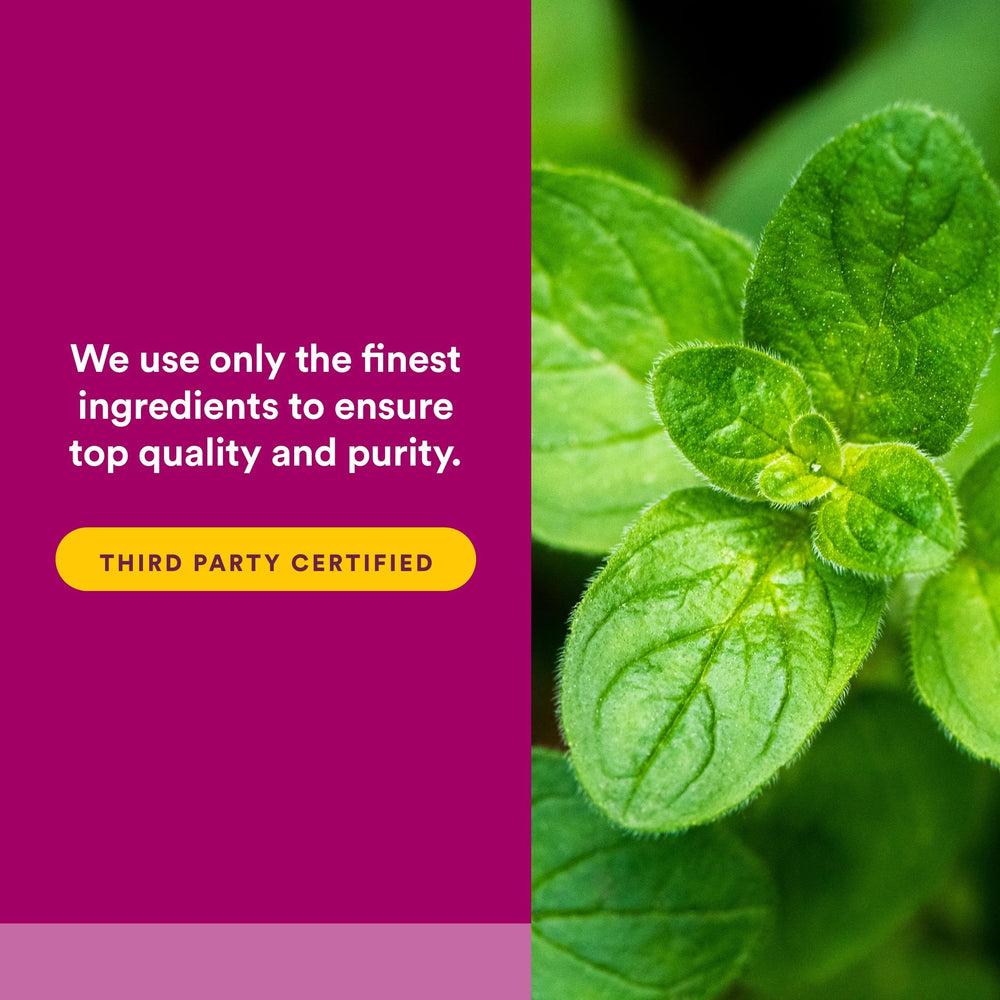 Steam distillation equipment for Natural Factors oregano oil production