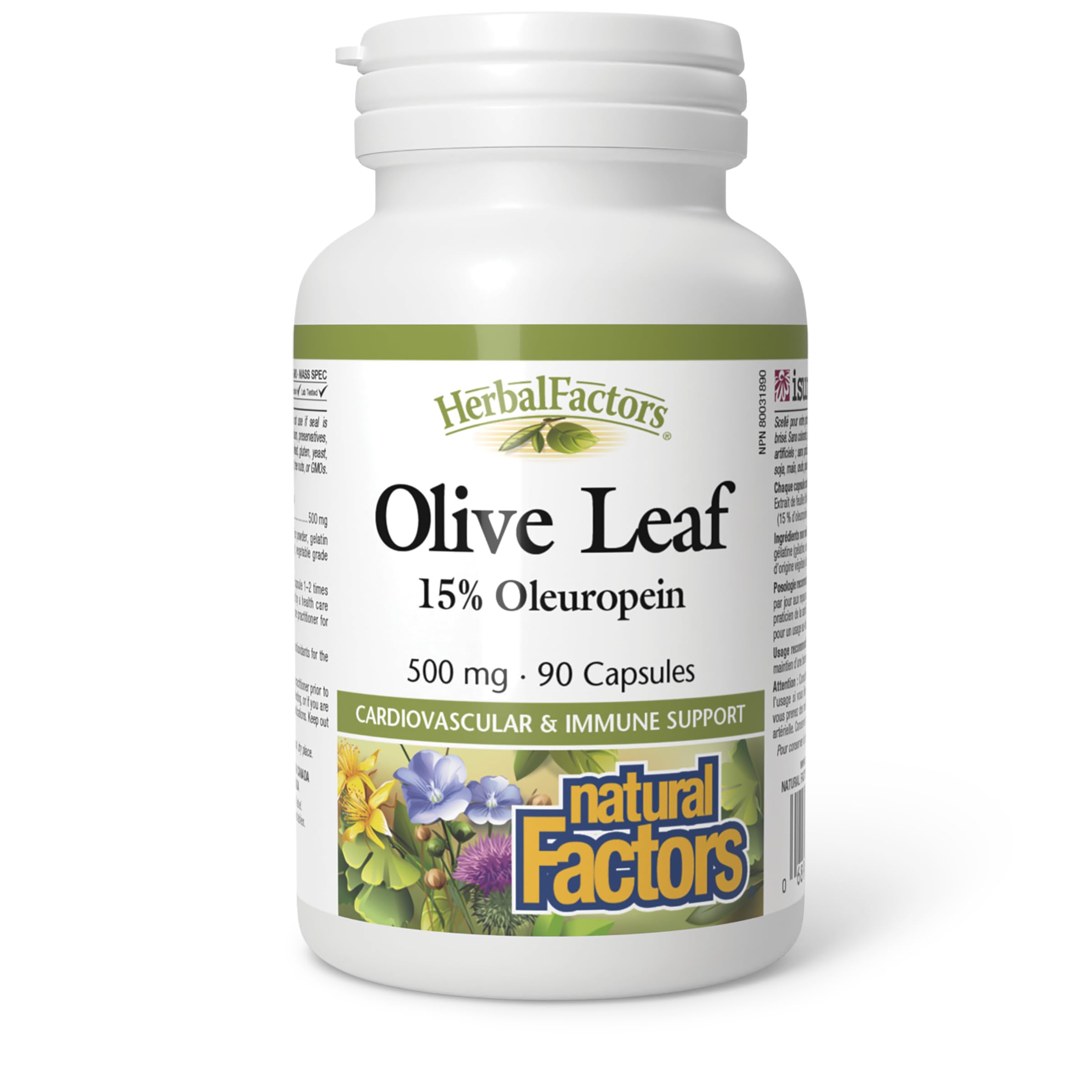 Natural Factors Olive Leaf bottle with 500 mg extract for immune support possibilities
