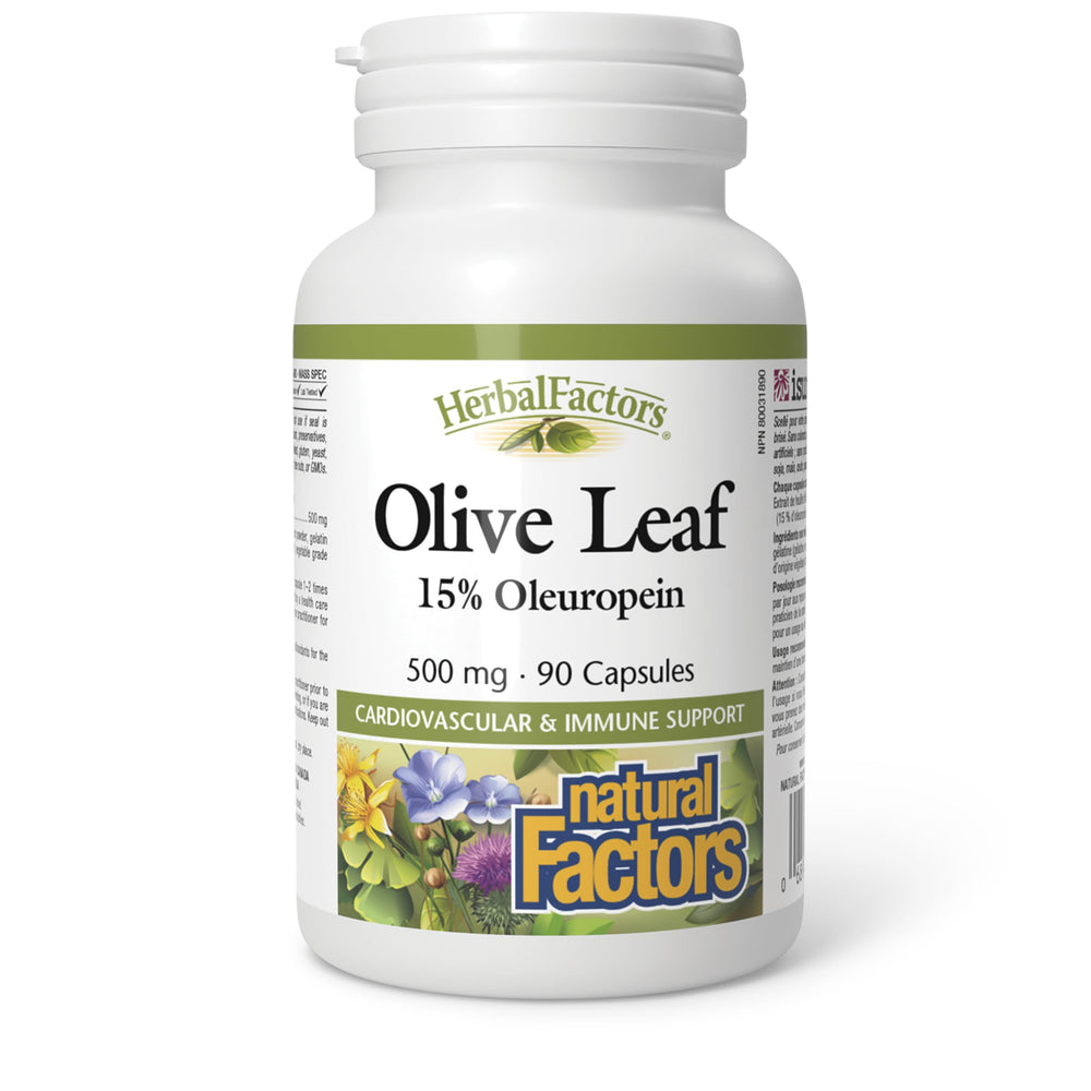 Natural Factors Olive Leaf bottle with 500 mg extract for immune support possibilities